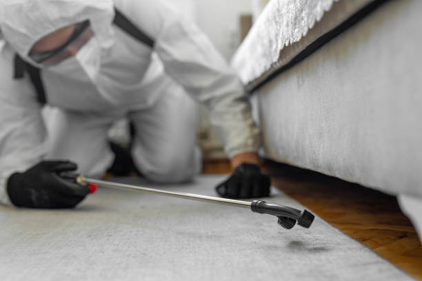 Professional Bed Bug Control technician working in Horse Shoe, NC